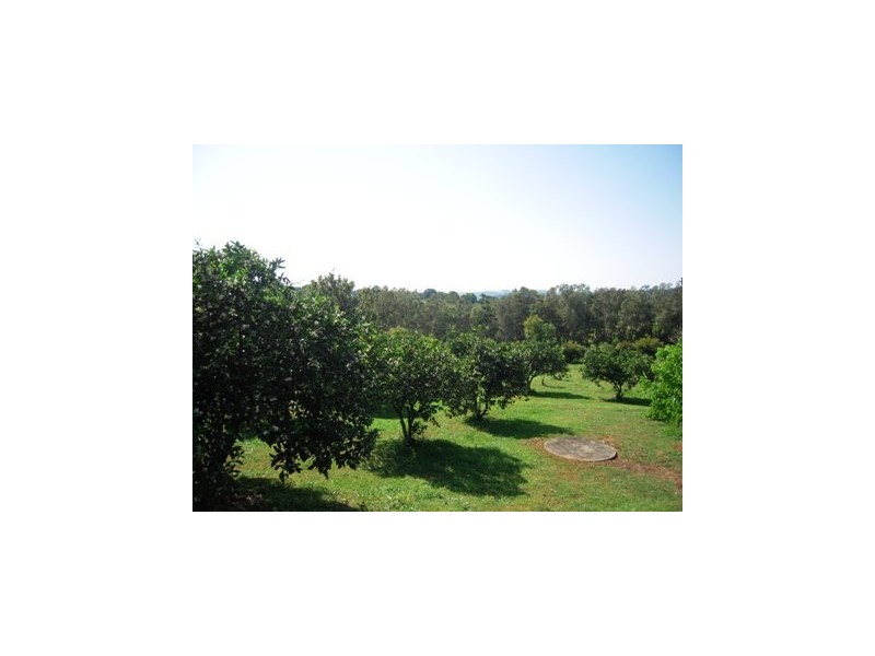 1 Pearson Road, Mcleans Ridges NSW 2480