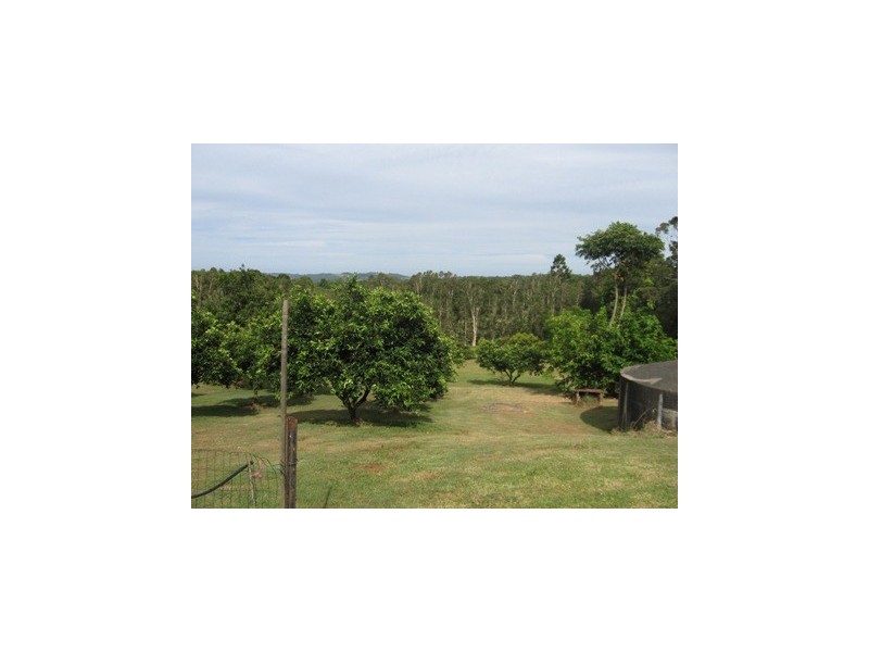 1 Pearson Road, Mcleans Ridges NSW 2480