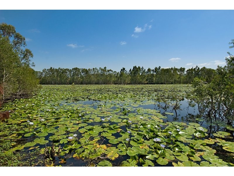 1311 Wardell Road, Meerschaum Vale NSW 2477