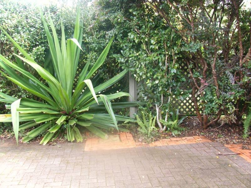 17 Albert Street, Alstonville NSW 2477