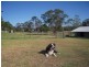 50 Wybelena Road, Wyrallah NSW 2480