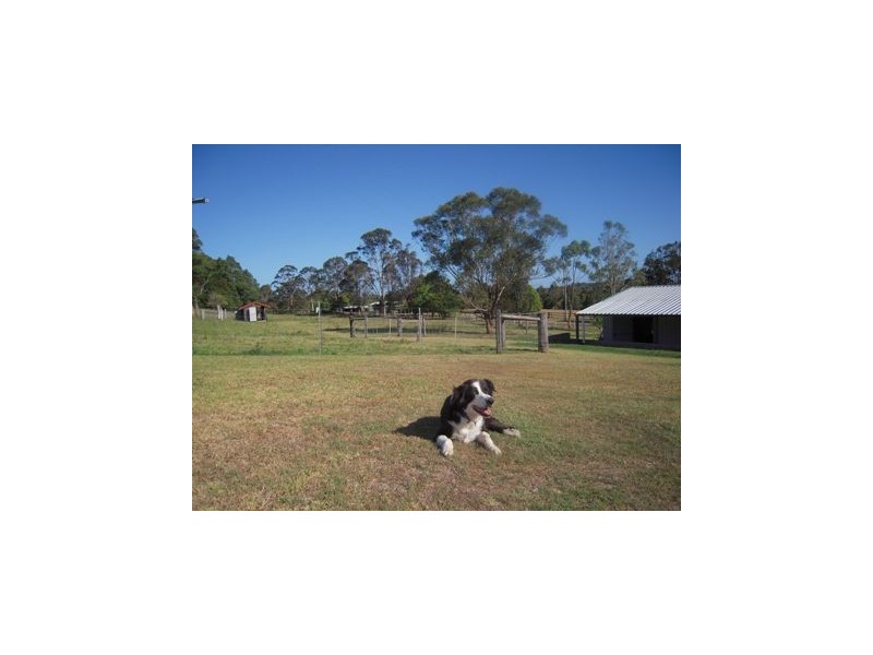 50 Wybelena Road, Wyrallah NSW 2480