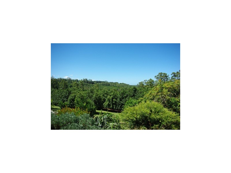 123 Alstonvale Road, Alstonvale NSW 2477