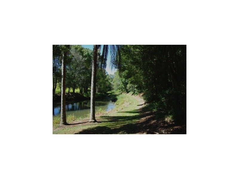 123 Alstonvale Road, Alstonvale NSW 2477