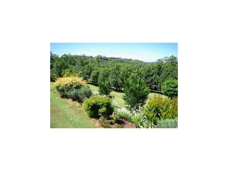 123 Alstonvale Road, Alstonvale NSW 2477