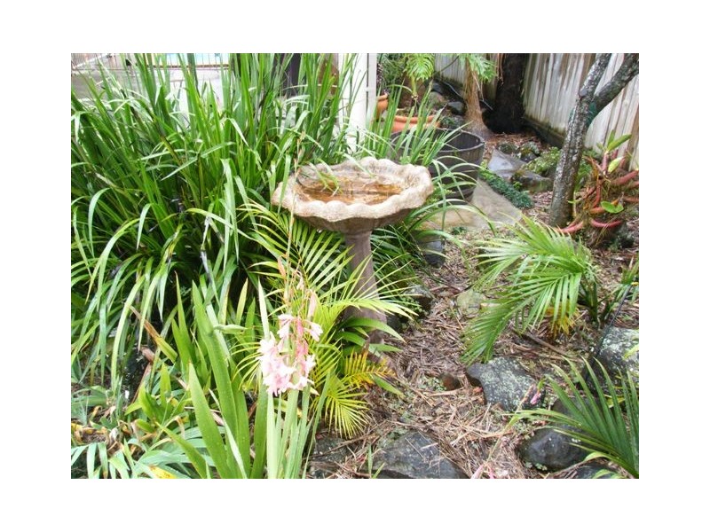 42 Panorama Drive, Alstonville NSW 2477