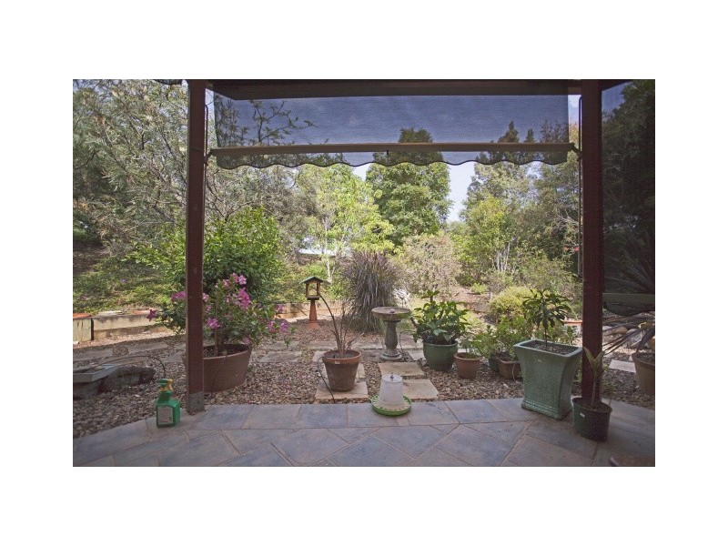 124 Wenga Drive, Alstonvale NSW 2477