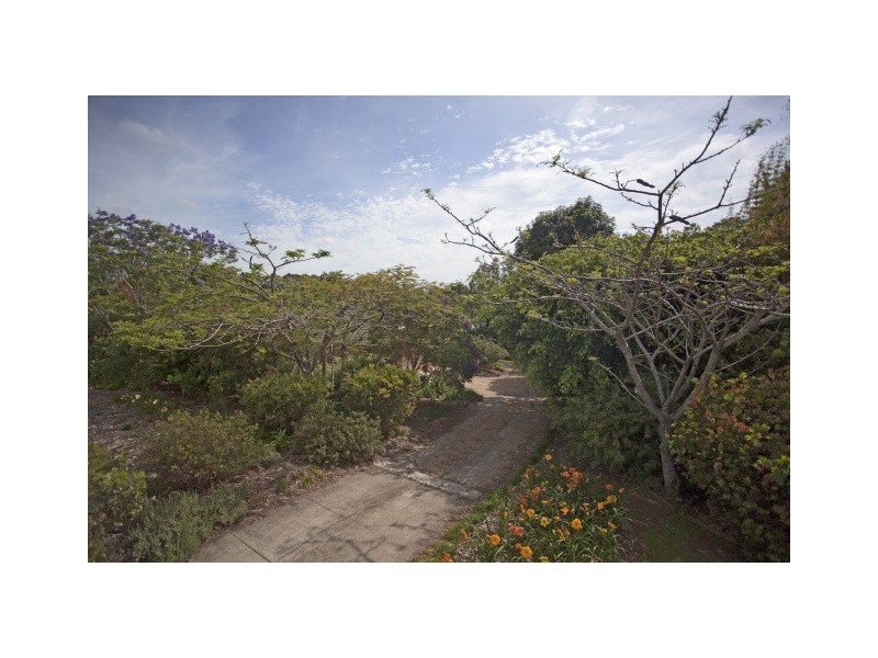 124 Wenga Drive, Alstonvale NSW 2477