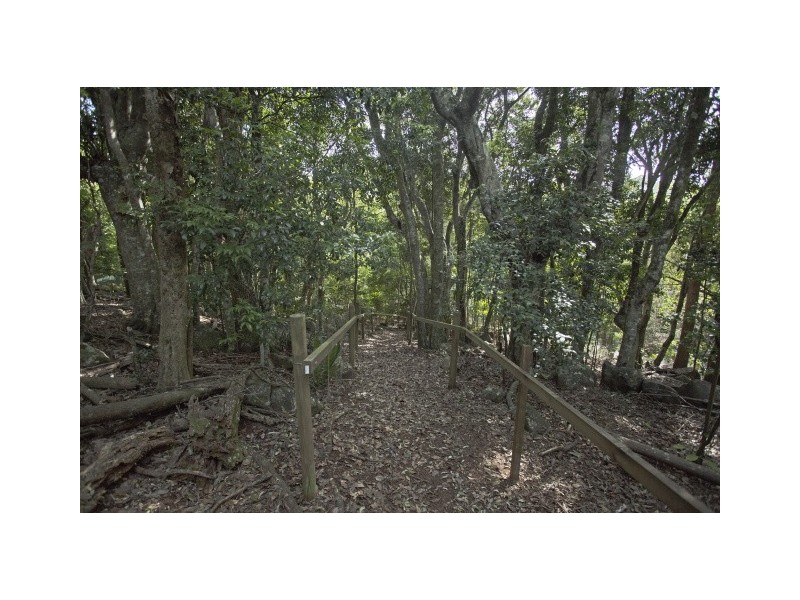 124 Wenga Drive, Alstonvale NSW 2477