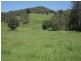 1038 Jiggi Road, Jiggi NSW 2480