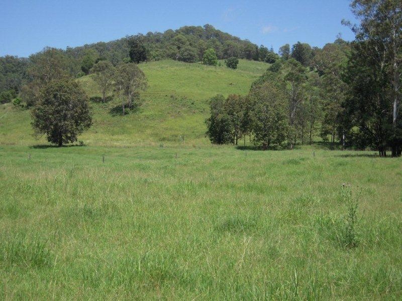 1038 Jiggi Road, Jiggi NSW 2480