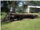 1038 Jiggi Road, Jiggi NSW 2480