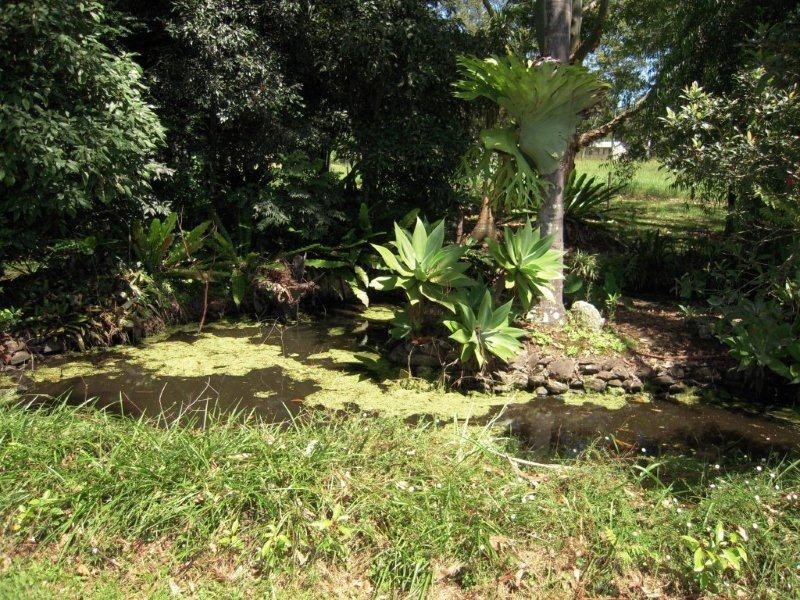 1038 Jiggi Road, Jiggi NSW 2480