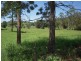 1038 Jiggi Road, Jiggi NSW 2480