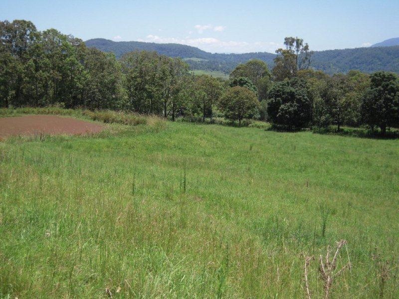 1038 Jiggi Road, Jiggi NSW 2480