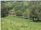 1038 Jiggi Road, Jiggi NSW 2480