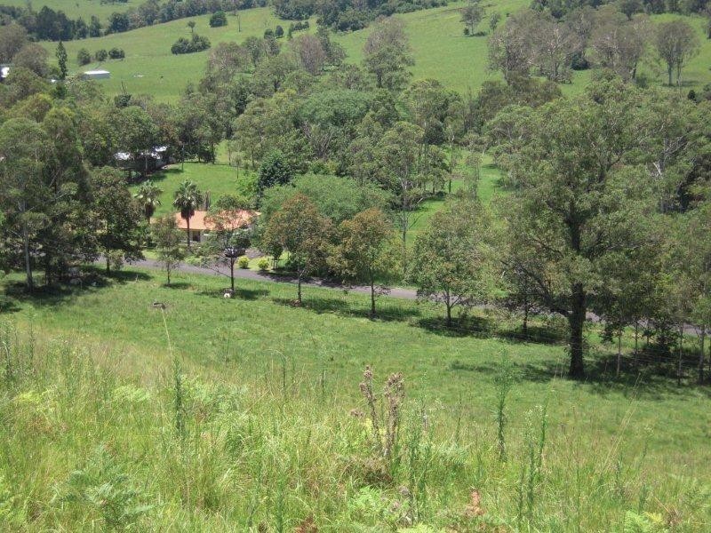 1038 Jiggi Road, Jiggi NSW 2480