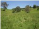 1038 Jiggi Road, Jiggi NSW 2480