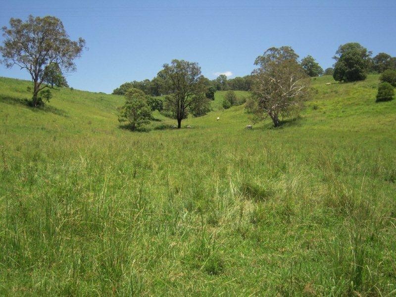 1038 Jiggi Road, Jiggi NSW 2480