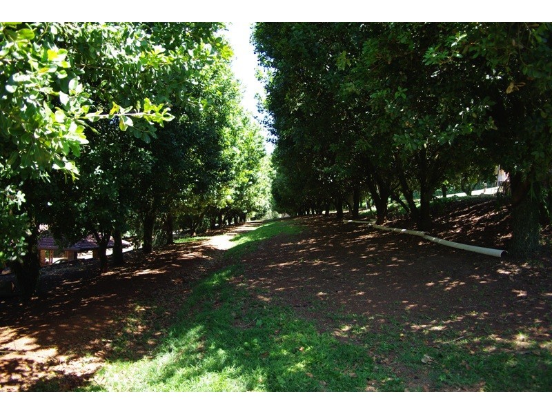 123 Alstonvale Road, Alstonvale NSW 2477