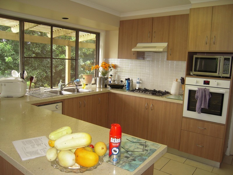 123 Alstonvale Road, Alstonvale NSW 2477