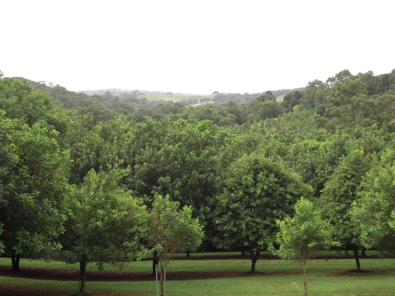 123 Alstonvale Road, Alstonville NSW 2477