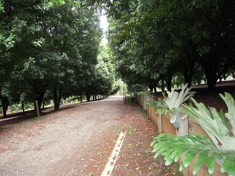 123 Alstonvale Road, Alstonville NSW 2477