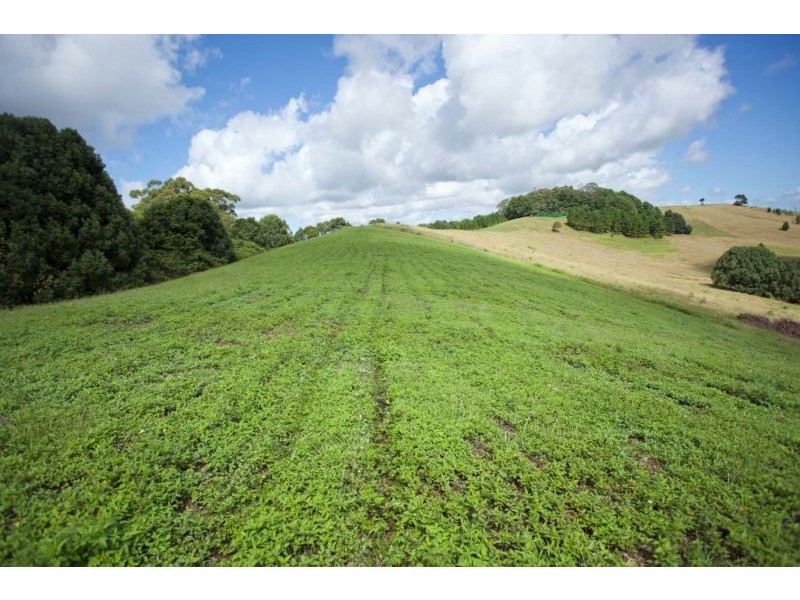 113 Nashua Road, Fernleigh NSW 2479