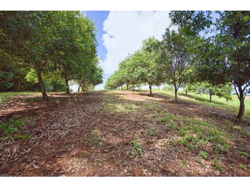 113 Nashua Road, Fernleigh NSW 2479