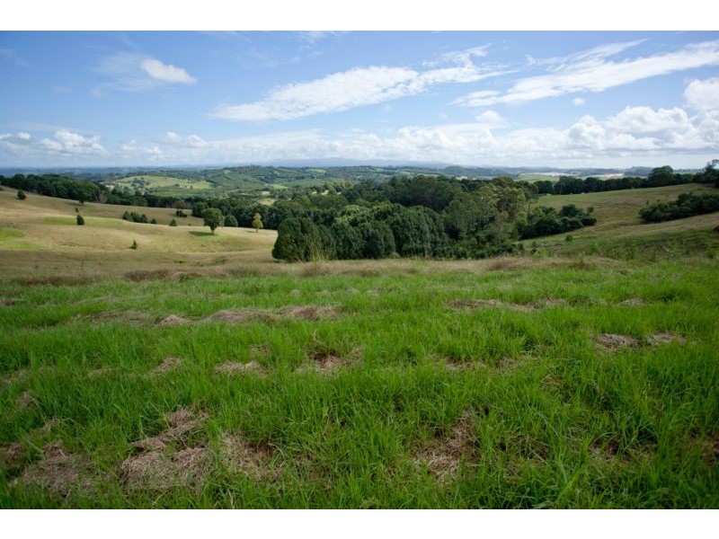 113 Nashua Road, Fernleigh NSW 2479