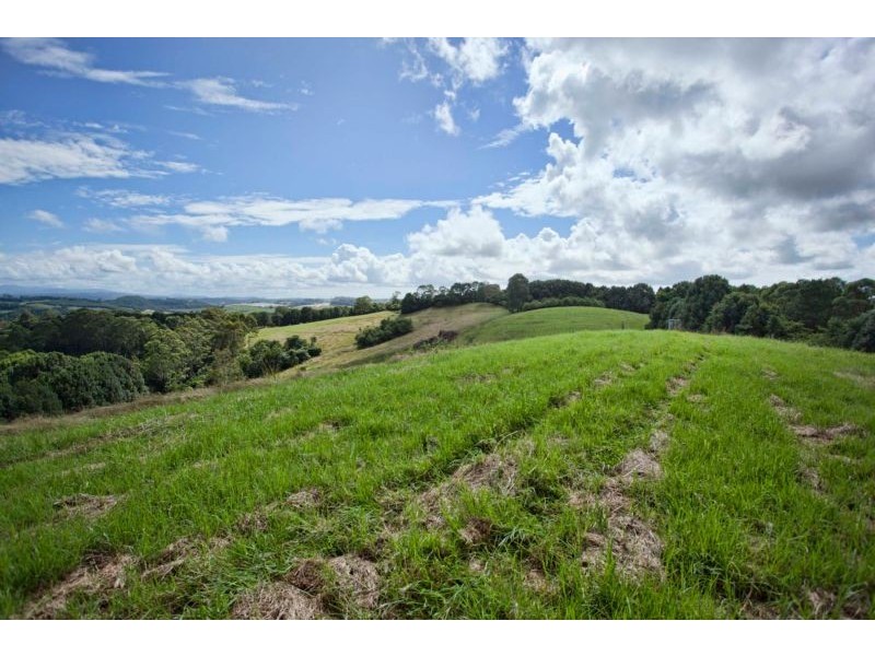113 Nashua Road, Fernleigh NSW 2479