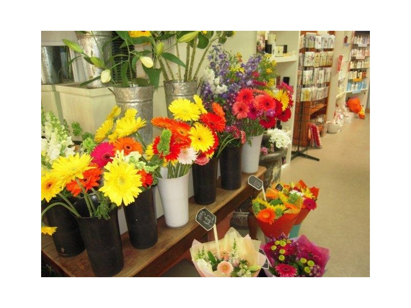 52 Magellan Street, Lismore NSW 2480