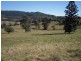 700 Jiggi Road, Jiggi NSW 2480