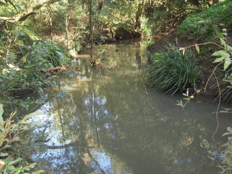 700 Jiggi Road, Jiggi NSW 2480