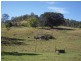 700 Jiggi Road, Jiggi NSW 2480