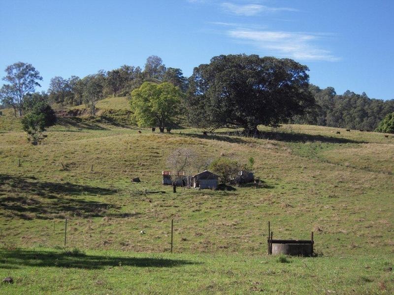 700 Jiggi Road, Jiggi NSW 2480