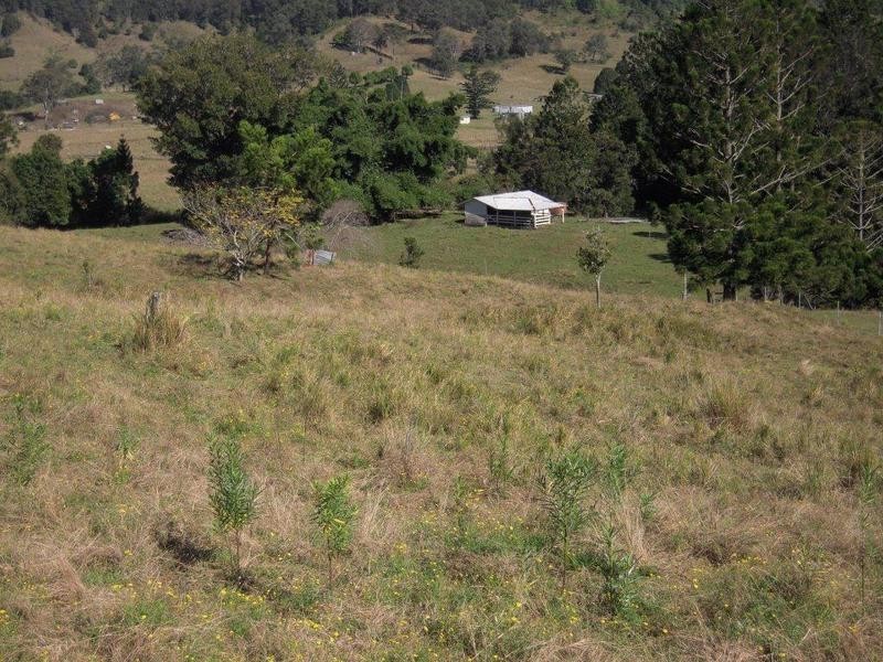 700 Jiggi Road, Jiggi NSW 2480