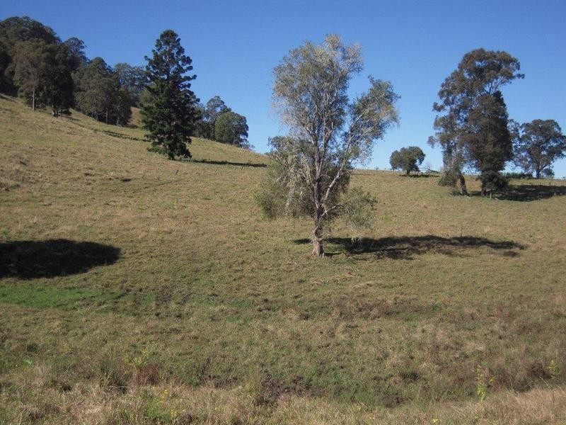 700 Jiggi Road, Jiggi NSW 2480