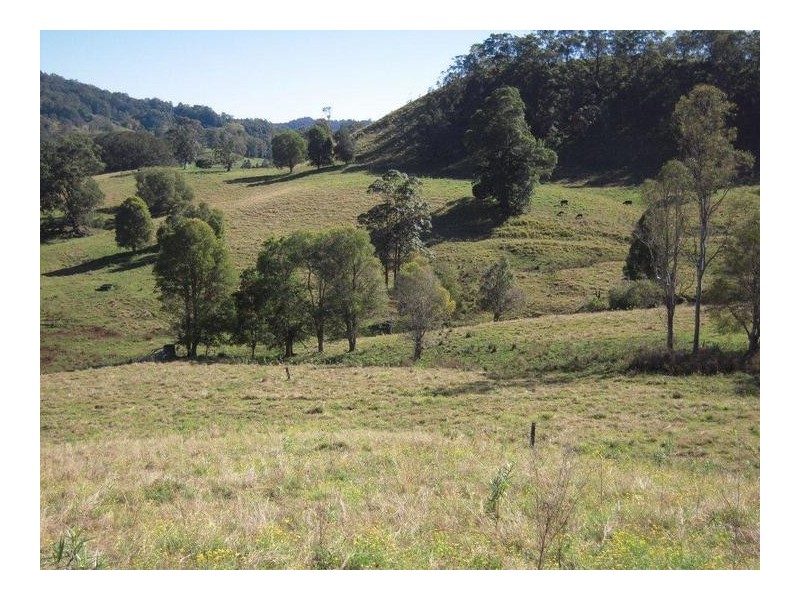 700 Jiggi Road, Jiggi NSW 2480