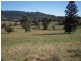 700 Jiggi Road, Jiggi NSW 2480