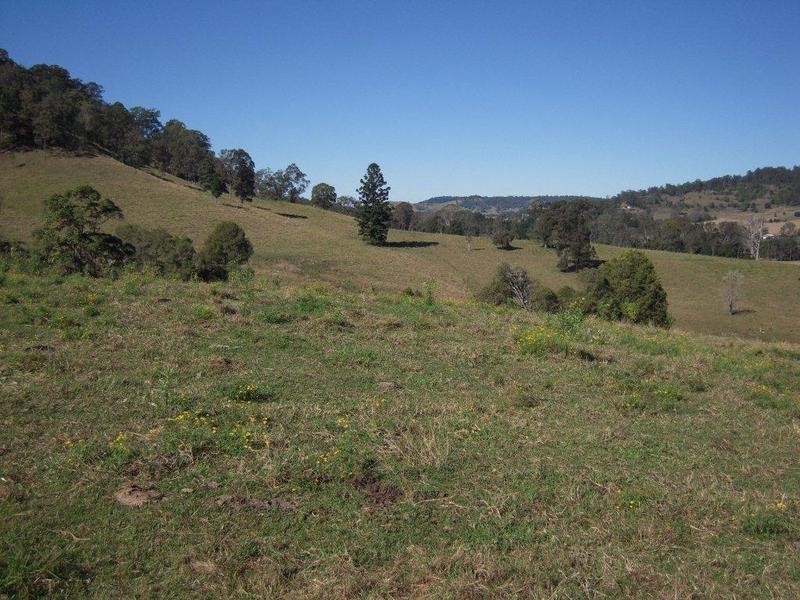 700 Jiggi Road, Jiggi NSW 2480