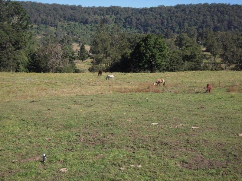 700 Jiggi Road, Jiggi NSW 2480