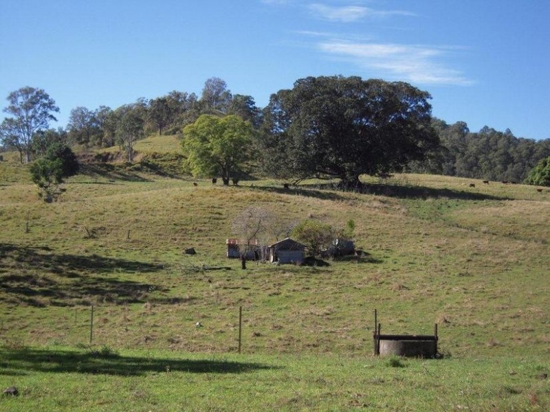 700 Jiggi Road, Jiggi NSW 2480