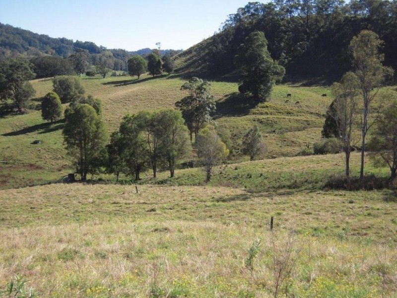 700 Jiggi Road, Jiggi NSW 2480