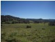 700 Jiggi Road, Jiggi NSW 2480