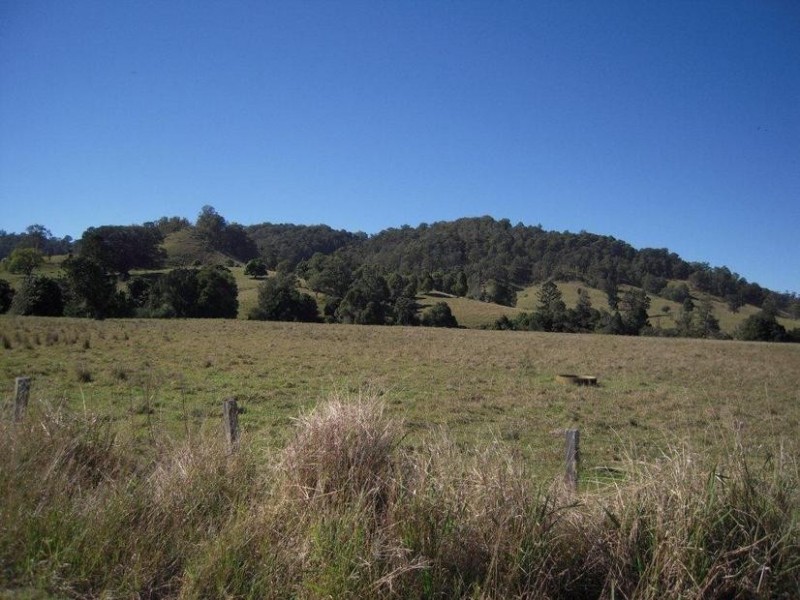 700 Jiggi Road, Jiggi NSW 2480