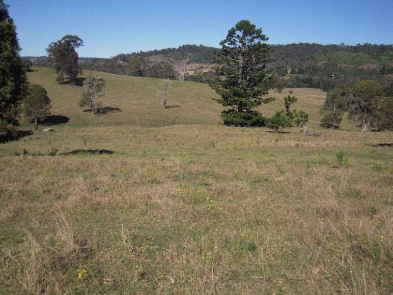 700 Jiggi Road, Jiggi NSW 2480