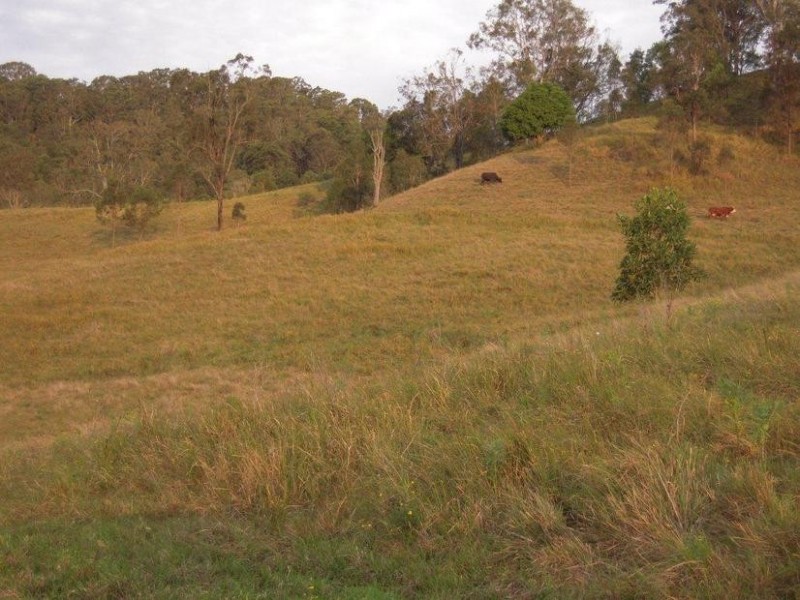 700 Jiggi Road, Jiggi NSW 2480