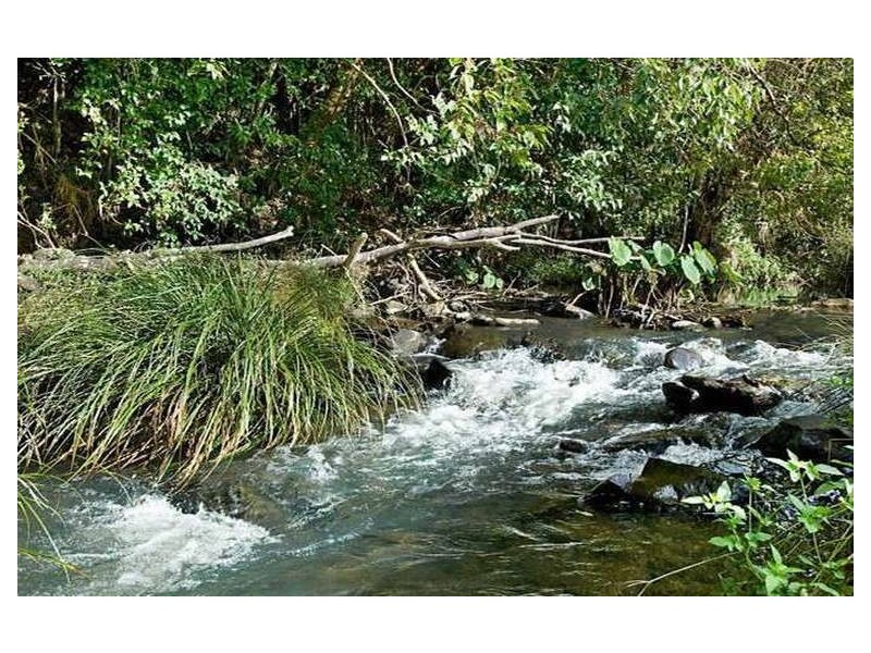 567 Humpty Back Road, Pearces Creek NSW 2477
