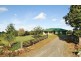 567 Humpty Back Rd, Pearces Creek NSW 2477
